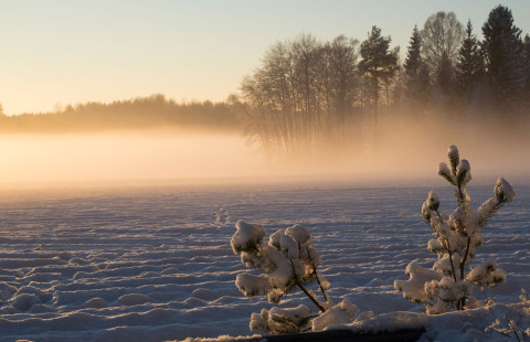 Talvinen maaseutu. Kuva Mostphotos.