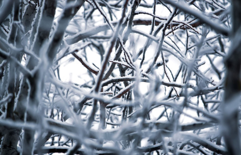 Talvi. Kuva Mostphotos.