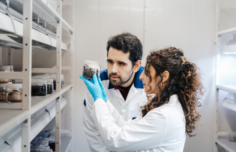 Tutkijat tarkastelevat näytettä.