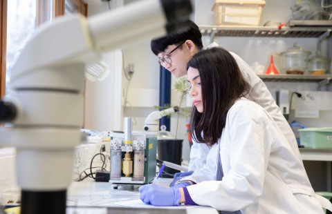 Kaksi tutkijaa työskentelee yhdessä laboratoriossa.