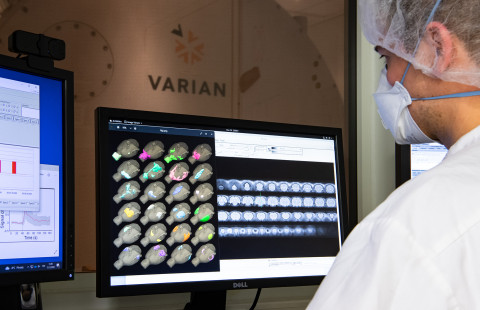 fMRI data on computer screen.