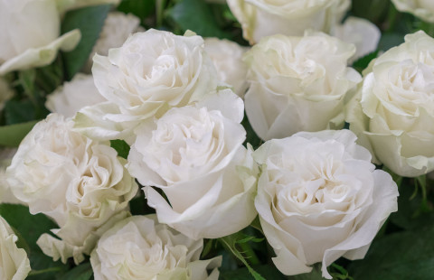 White roses.