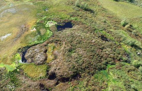 Maanpintaa tunturialueella.