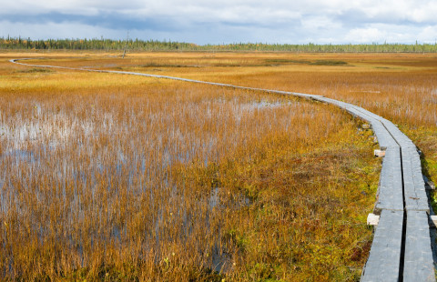 Pitkospuut aapasuolla.