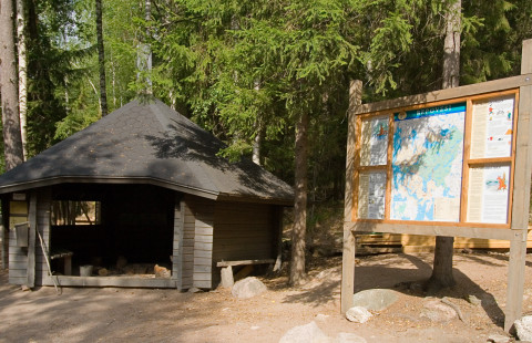 Kota ja opastetaulu metsässä.