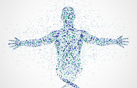 Graphics showing DNA double helix turning into human shape.