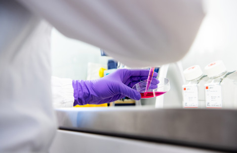 Laboratoriotyöskentelyä.