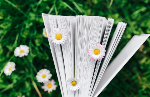 Keltaisia kukkia on kirjanmerkkeinä kirjan sivujen välissä nurmea vasten.