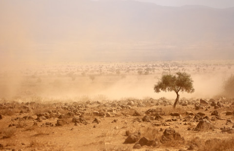 Dusty plains during a drought in Kenya.