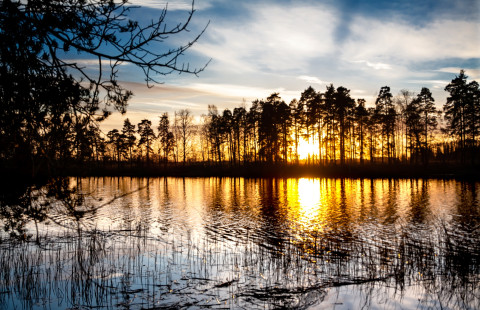 Maisema. Kuva Mostphotos.