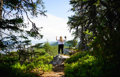 Nainen opiskelee Kolilla