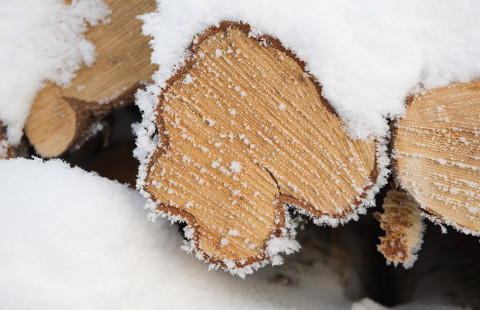 Lumber and snow.