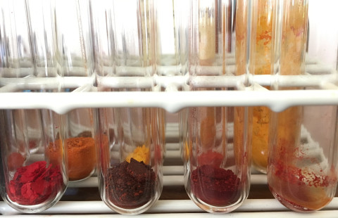 Dyes from bloodred webcap in powder form. Photo Riikka Räisänen, BioColour consortium.