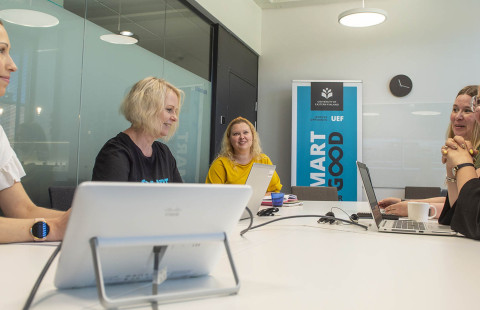 sisäiset auditoinnit