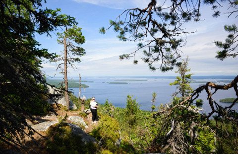 metsäalan tilauskoulutukset