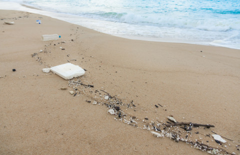 Muovijätettä rannalla.
