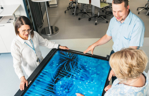 UEF EMBA kuvituskuva