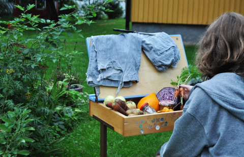 Person looking at vegetables and root vegetables.