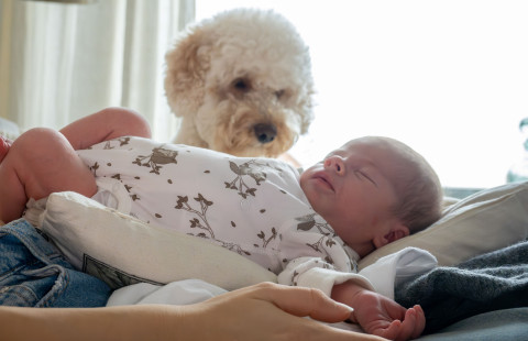 A dog and a baby.