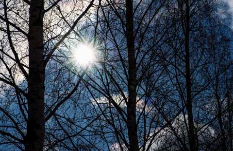 Aurinko.