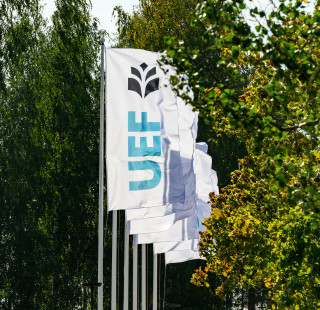 University of Eastern Finland flags.