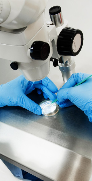 Woman examines a sample with a microscope.