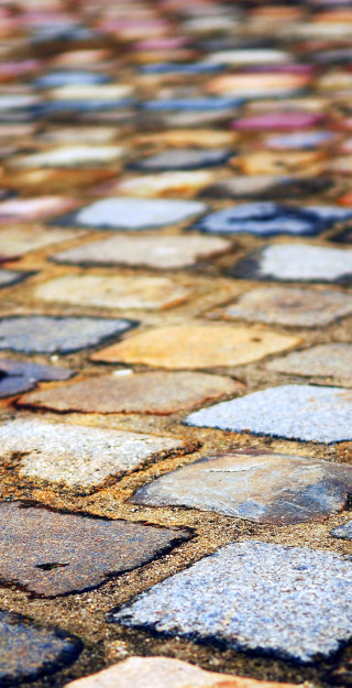 Close up of a cobblestone street.
