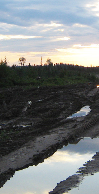 Metsähakkuiden jälkiä maastossa Venäjällä.