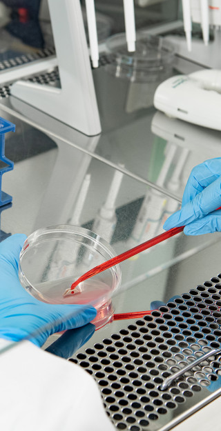 Potilasperäisiä soluja käsitellään laboratoriossa