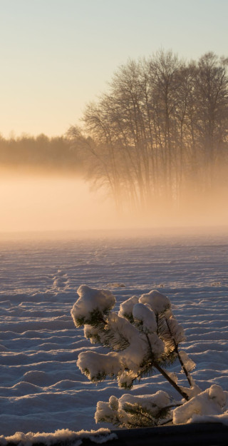 Talvinen maaseutu. Kuva Mostphotos.