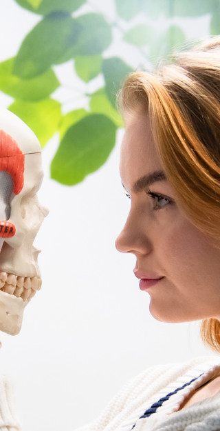 biolääketieteen opiskelija Aino Mäkinen itseopiskelutiloissa, katsoo anatomista mallia kallosta
