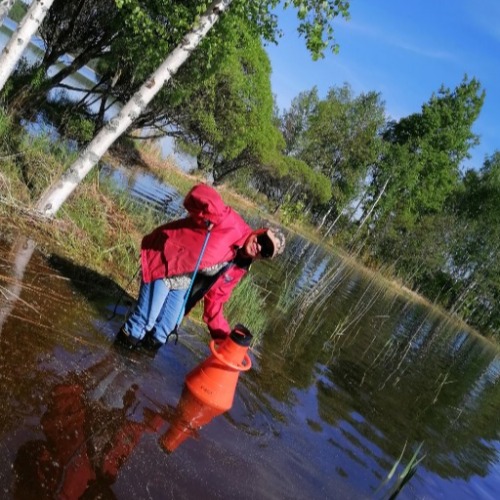 Profiilikuva: Olfat Abdelsaleheen